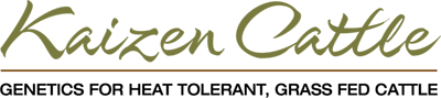 Kaizen Cattle